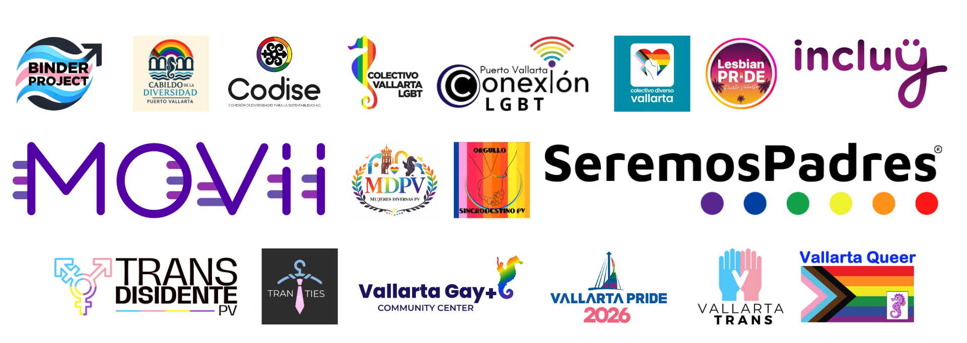 Organizaciones Red Diversidad Vallarta